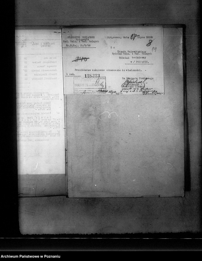 Obraz 18 z jednostki "Parcelacja prywatna majętności Karolewo powiat bydgoski"