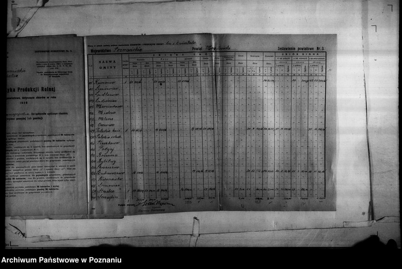 Obraz 20 z jednostki "/Statystyka produkcji rolnej - zestawienie powiatowe - Mogilno/"