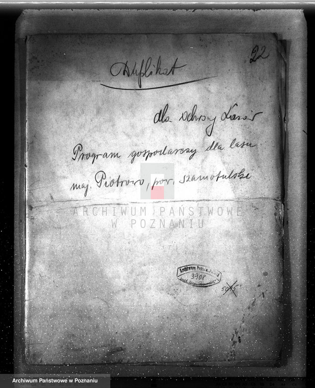 Obraz 4 z jednostki "Plan urządzenia gospodarstwa leśnego dla lasu majętności Piotrowo powiat szamotulski 1934-1944"