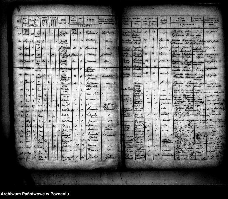 Obraz 15 z jednostki "Księga urodzin"