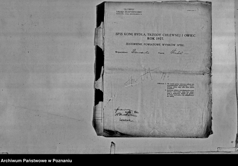 Obraz 3 z jednostki "Spis koni, bydła, trzody chlewnej i owiec - zestawienie z terenu powiatu średzkiego"