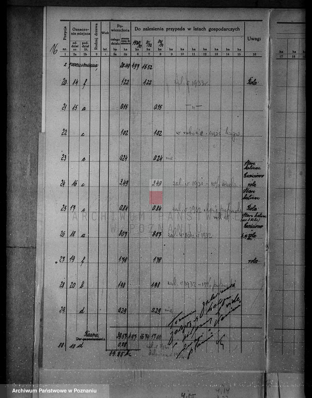 Obraz 20 z jednostki "/Nadzór nad lasami/ majątku Gębice powiatu czarnkowskiego"