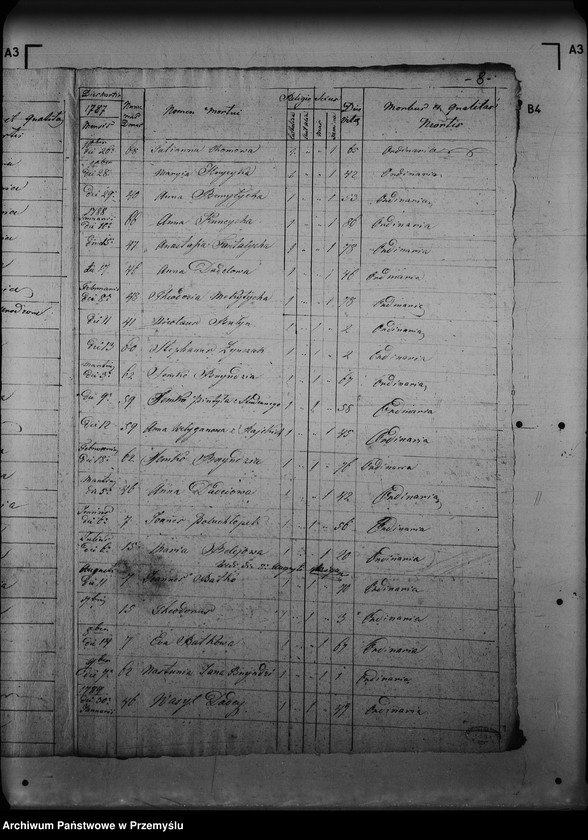 image.from.unit.number "[Kopie ksiąg metrykalnych parafii Rajskie z filiami Gródek, Studenne (dekanat Lutowiska)]"