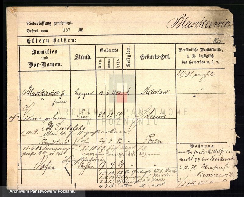 Obraz 17 z jednostki "Błaszkiewicz - Błażejuk"