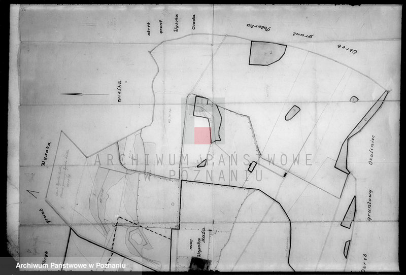Obraz 5 z jednostki "Majątek Wysoka Mała wyłączenie z art.. 4 i 5 ustawy o wykonaniu reformy Welter Buttner"