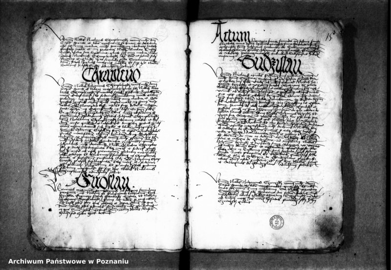 Obraz 20 z jednostki "Inscriptiones, relationes, decreta [inducta]"