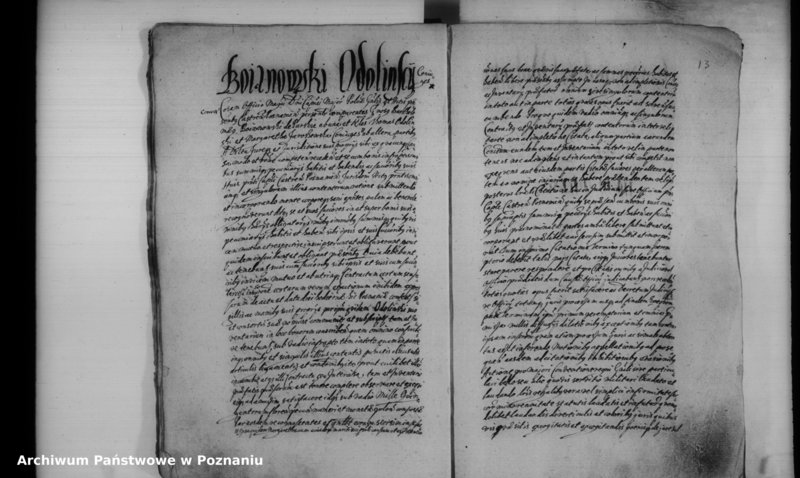 Obraz 20 z jednostki "Inscriptiones [inducta]"