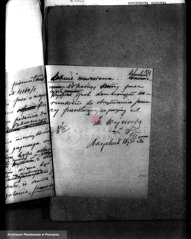 Obraz 18 z jednostki "Zalesienie nieużytków powiatu tureckiego"