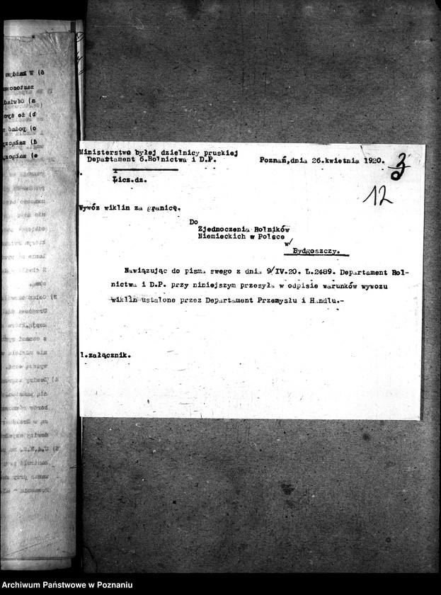 Obraz 16 z jednostki "Sprawy szczegółowo-administracyjne Koszykarstwo"