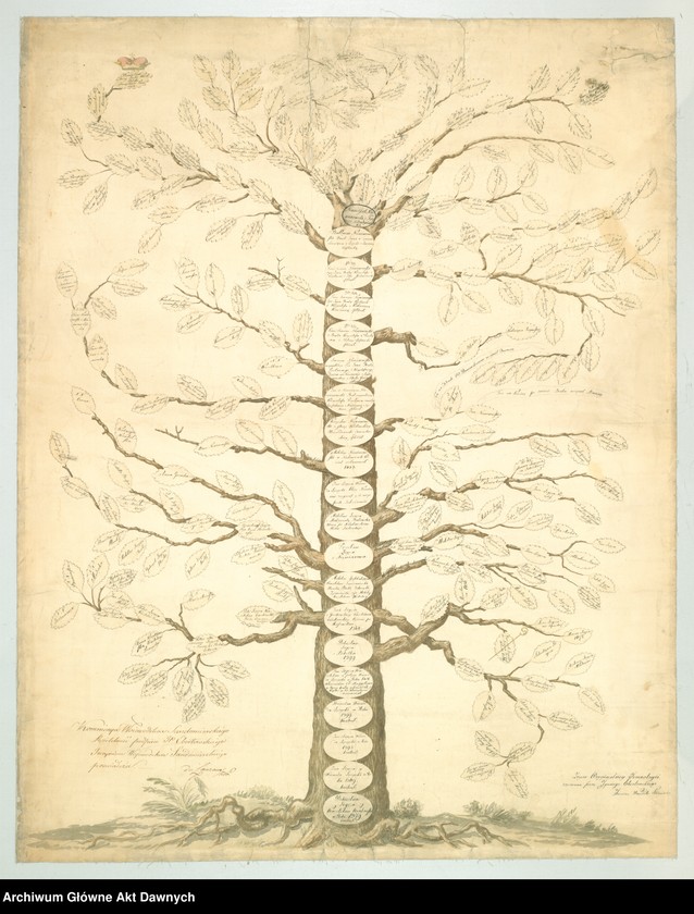 image.from.unit.number "Wykres potomków w układzie poziomym (wystylizowany na drzewo)  Niewiarowskich herbu Półkozic wykonane przez Ignacego  Ebertowskiego, inżyniera województwa sandomierskiego, z  potwierdzoną autentycznością jego podpisu przez Komisję  Województwa Sandomierskiego."