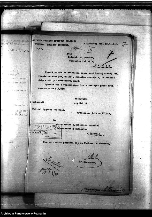 Obraz 11 z jednostki "Nosacizna - b. Kongresówka"