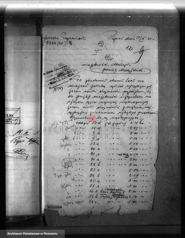 Obraz 17 z jednostki "Majętność leśna Mniszki w powiecie międzychodzkim"