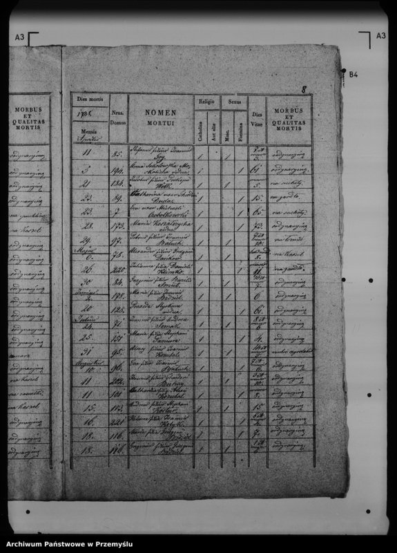 Obraz 13 z jednostki "[Kopie ksiąg metrykalnych parafii Werchrata z filią Prusie (dekanat Rawa Ruska)]"