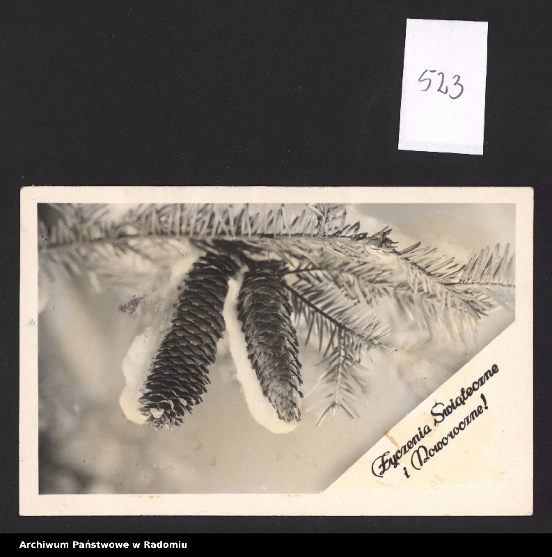 image.from.collection.number "Boże Narodzenie i Nowy Rok w archiwaliach111"