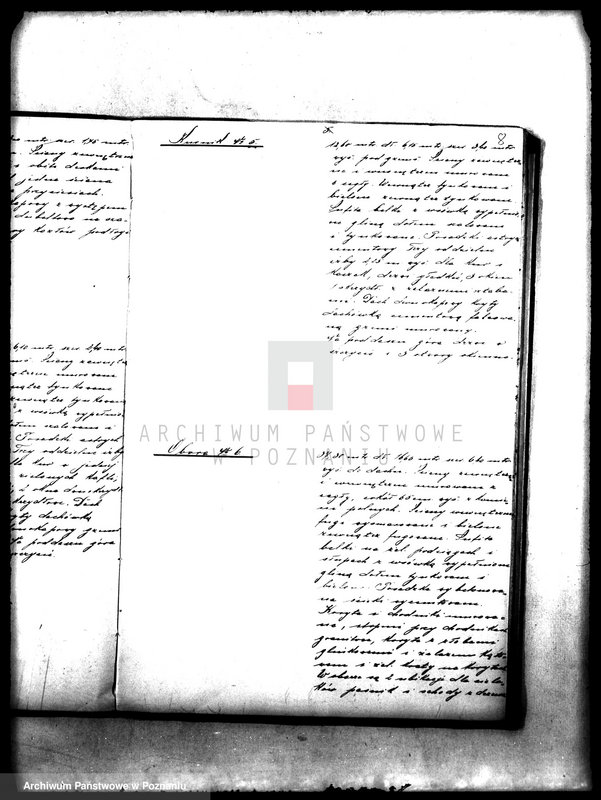 Obraz 12 z jednostki "Majątek państwowy Wielkie Gutowo opisy budynków"