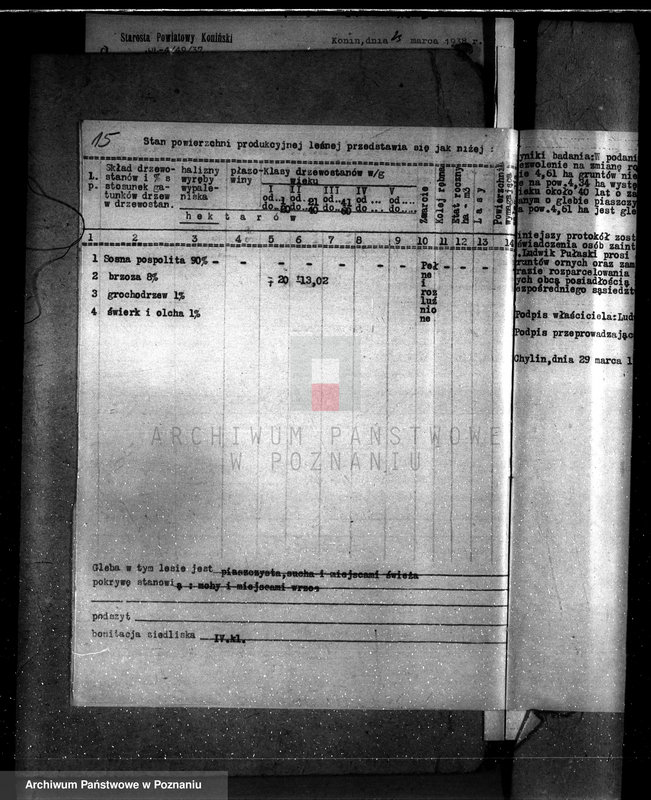 Obraz 19 z jednostki "Gmina Piorunów powiat turecki /nadzór nad gospodarką leśną/"