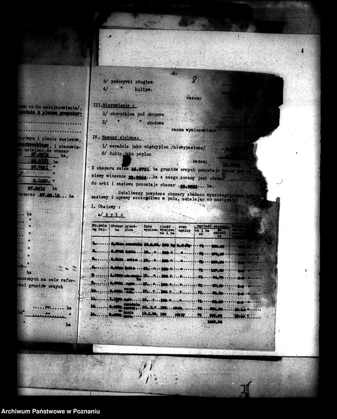 Obraz 12 z jednostki "Administracja przejściowa majątku Rataje powiatu konińskiego"