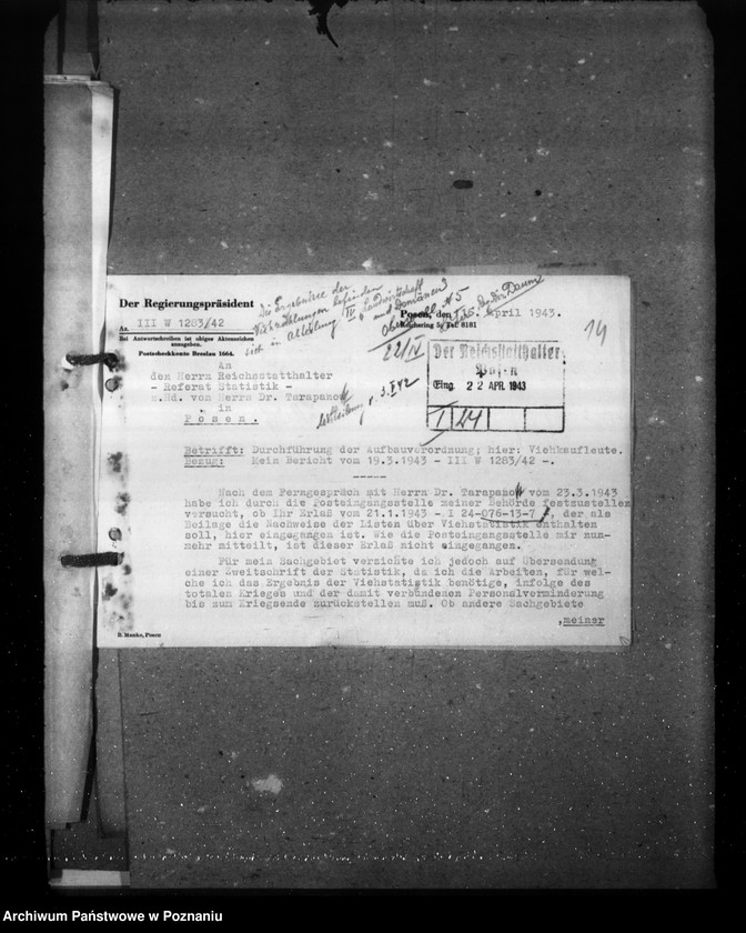 Obraz 18 z jednostki "Zarządzenia i korespondencja w sprawie sporządzenia spisu bydła"