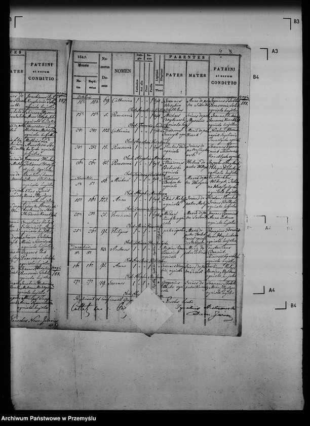 Obraz 8 z jednostki "[Kopie ksiąg metrykalnych parafii Jazów Nowy z filią Cetula (dekanat Jaworów)]"