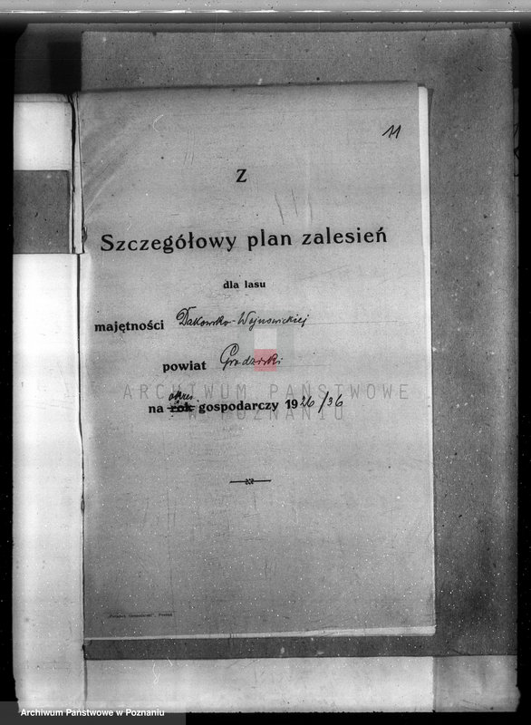 Obraz 15 z jednostki "Plan urządzenia gospodarstwa leśnego lasu majętności Dakowsko-Wojnowickiej w powiecie nowotomyskim"
