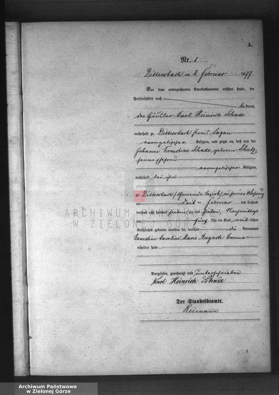 Obraz z jednostki "[Księga aktów urodzeń]"