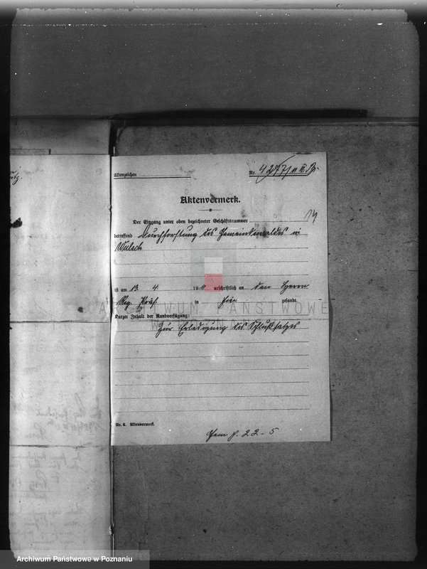 Obraz 19 z jednostki "Las gminy Olszewo powiat ostrowski"