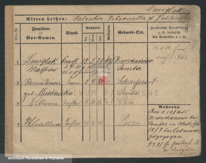 Obraz 19 z jednostki "Śmiglak - Smolik"