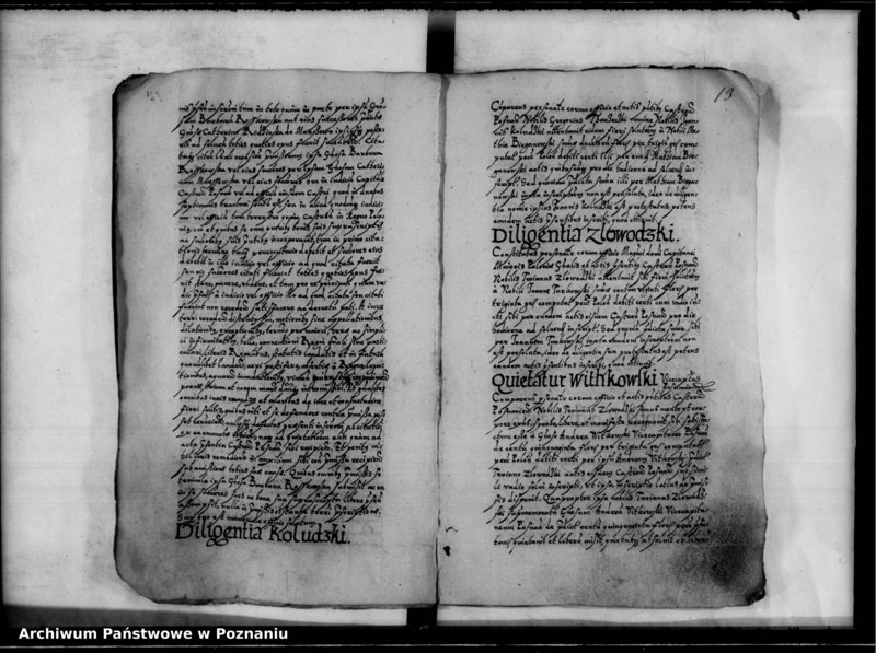 Obraz 16 z jednostki "Inscriptiones, relationes [inducta]"