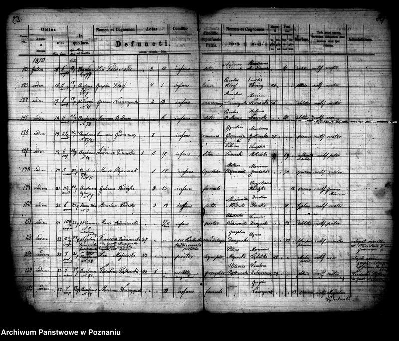 Obraz 13 z jednostki "Księga zgonów"