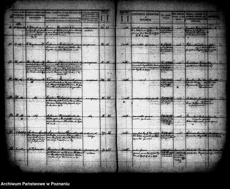 Obraz 13 z jednostki "Księga małżeństw"