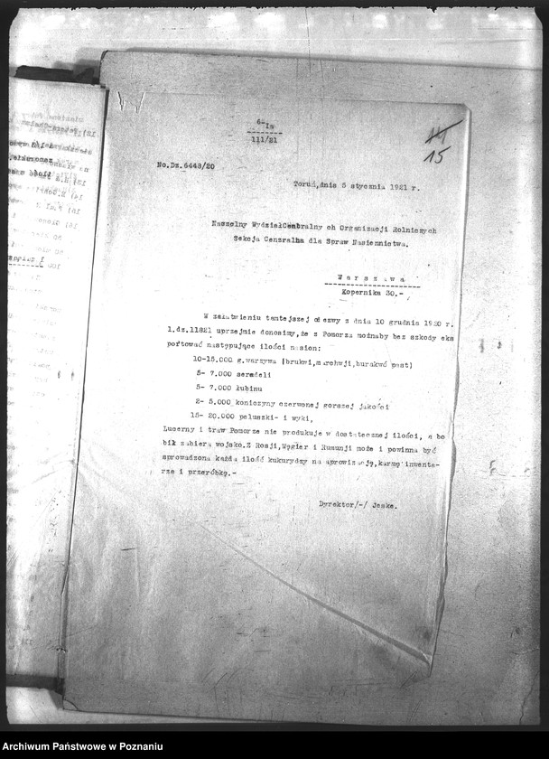 Obraz 19 z jednostki "Ogólne"