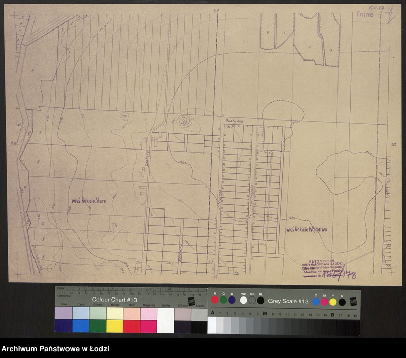 Obraz 1 z jednostki "Plan miasta Łodzi. Sekcja SW 53"