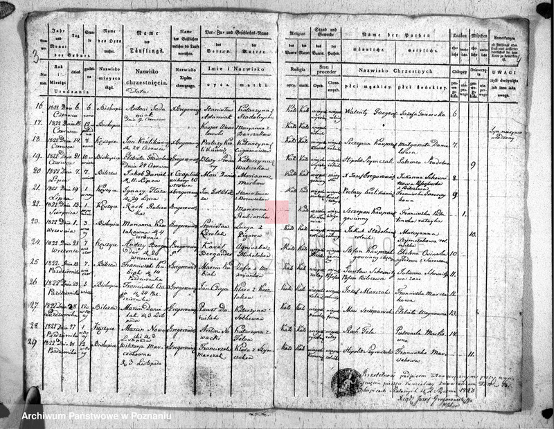 Obraz z jednostki "Duplikat urodzonych"