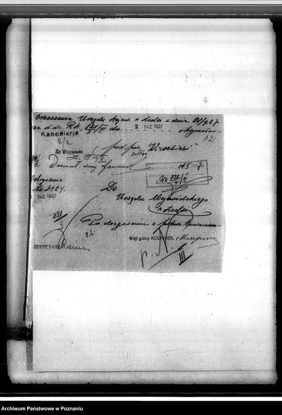 Obraz 16 z jednostki "Sprawa lustracji lasu dóbr Osuchów powiatu kaliskiego oraz sprawa odroczenia terminu zalesienia 3,06 ha gruntów leśnych"