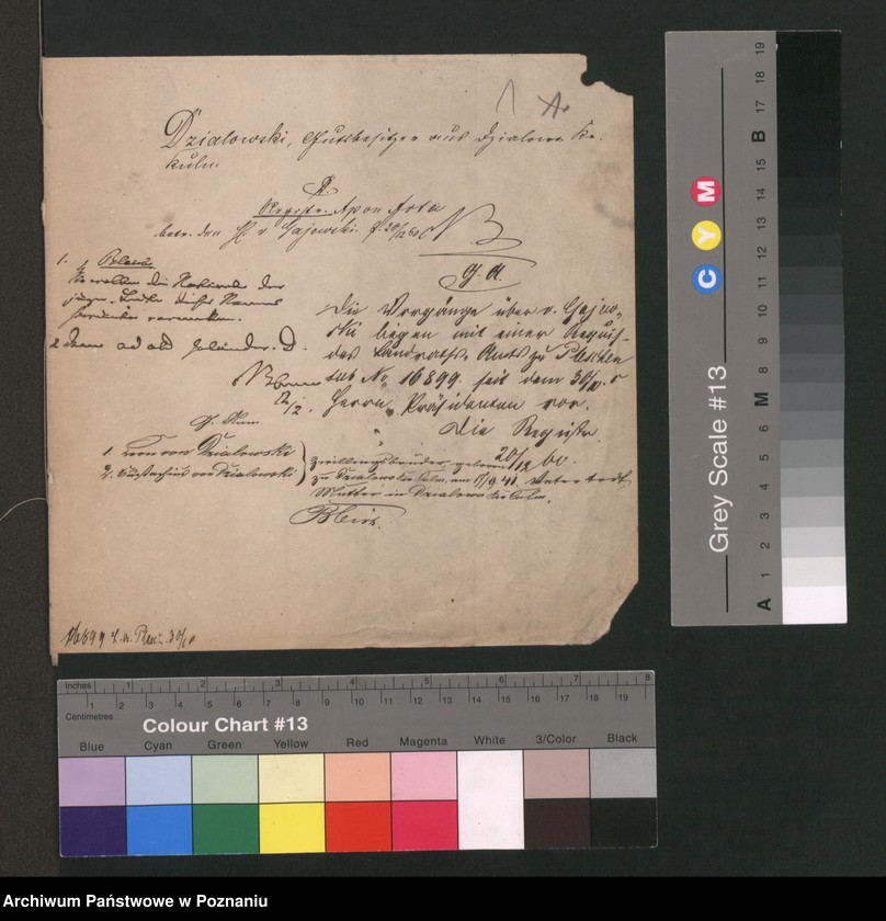 Obraz 4 z jednostki "A. betr. die Familie Działowski"