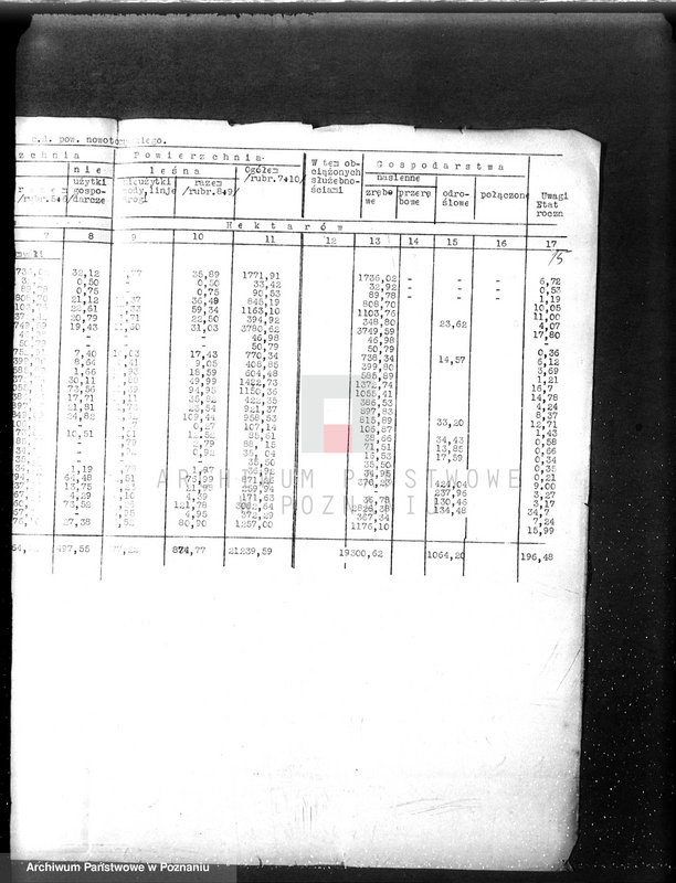 Obraz 20 z jednostki "/Nadzór nad gospodarką leśną sprawy ogólne/"