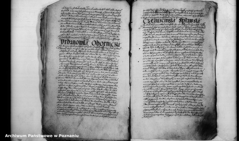 Obraz 8 z jednostki "Inscriptiones [inducta]"