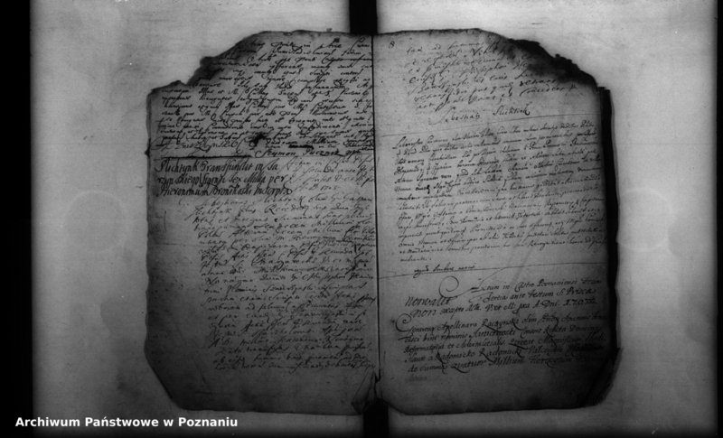 Obraz 13 z jednostki "Inscriptiones, resignationes [protocollon]"