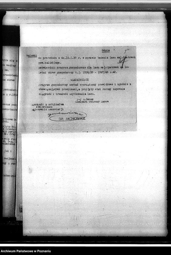 Obraz 9 z jednostki "Majątek Opatówek powiat kaliski sprawy leśne"