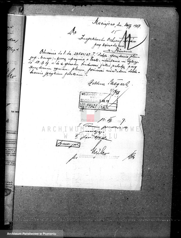 Obraz 19 z jednostki "Nadzór nad lasami majętności Maciejewo w powiecie czarnkowskim"