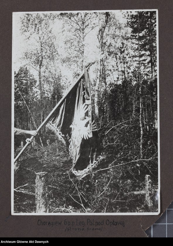 image.from.unit.number "Zbiór fotografii Album 6 pułku piechoty Legi/onów/."