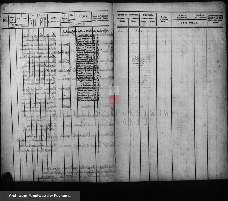 Obraz 6 z jednostki "Duplicati baptisatorum, copulatorum, mortuorum"