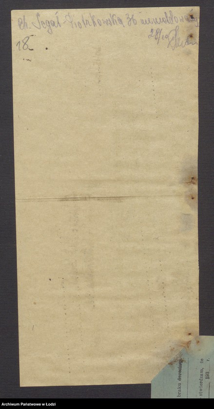 Obraz 20 z jednostki "Chil Segał - sprzedaż towarów manufakturowych"