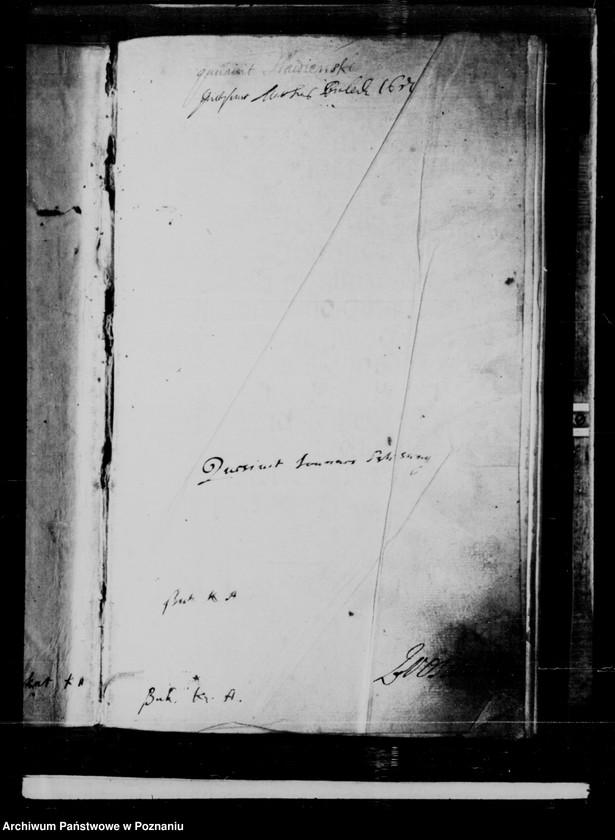 Obraz 5 z jednostki "Inscriptiones, relationes, decreta [inducta]"