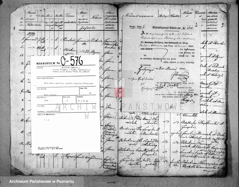 image.from.unit.number "Designatio baptisatorum"