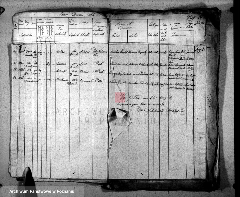 Obraz 7 z jednostki "Duplikat baptisatorum, copulatorum u. mortuorum"