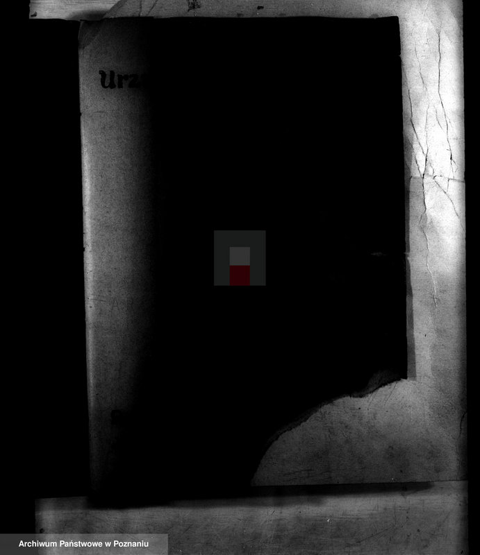 Obraz 6 z jednostki "Administracja miasta Wielenia"