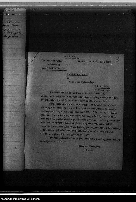 Obraz 11 z jednostki "Program gospodarczy dla lasu J. Kajewskiego w gminie Wiórek powiat poznański 1929-1939"