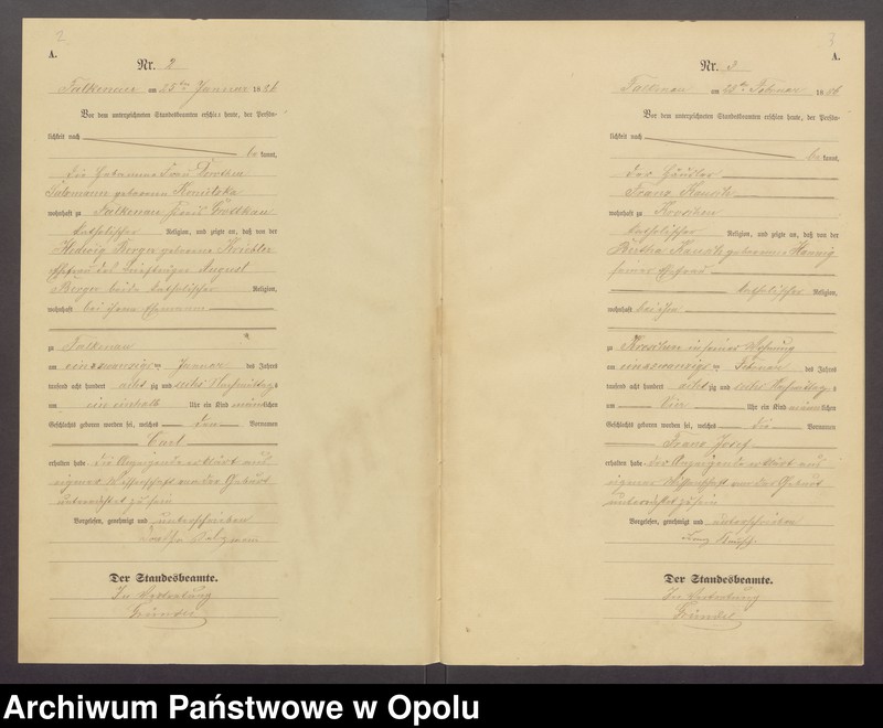 Obraz z jednostki "Chróścina urodzenia rok 1886"
