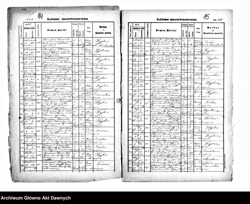 image.from.unit.number "Parafia: Dawidów. Dekanat: Szczerzec. Kopie z ksiąg metrykalnych ur., śl., zg. dla wsi Dawidów i pozostałych wsi."